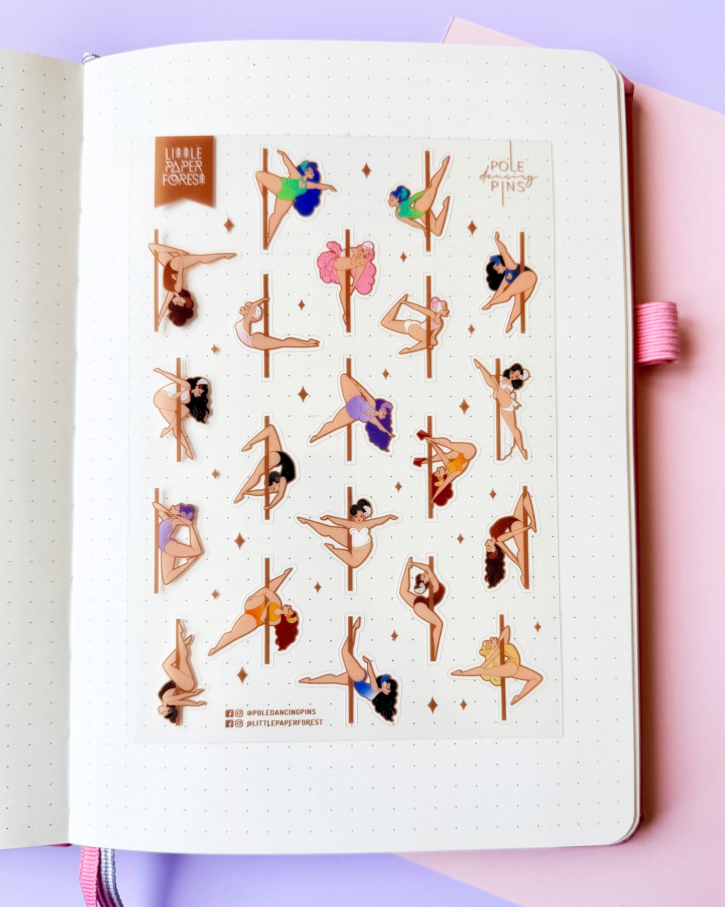 Birds of a Feather A6 Transparent Sticker Sheet