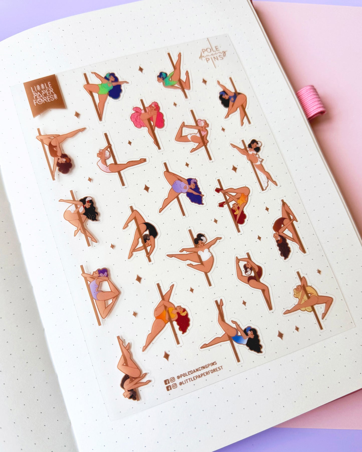 Birds of a Feather A6 Transparent Sticker Sheet